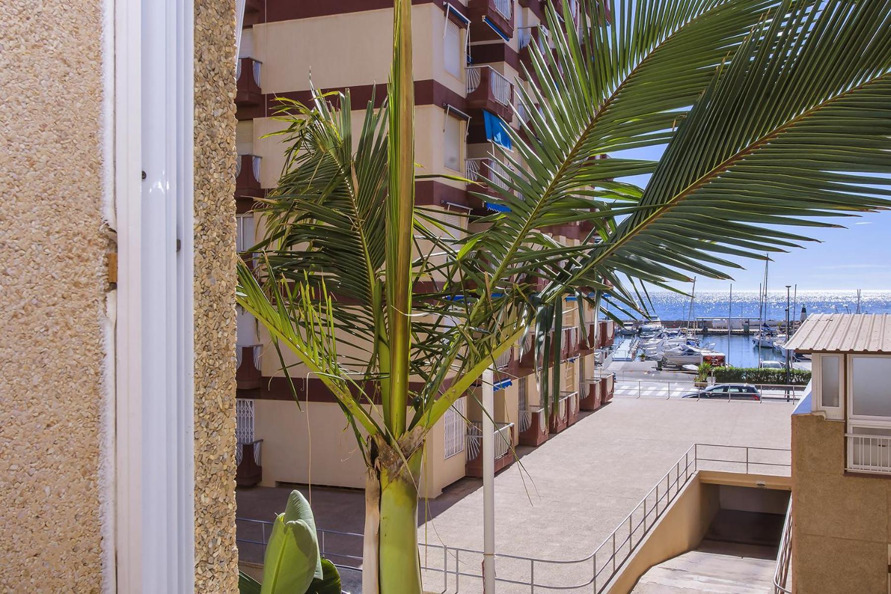 Aguilas Delicias Piscina Wifi Ac Parking Gratis Екстер'єр фото